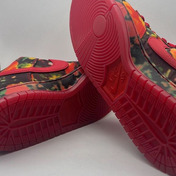 Nike SB x‎ The Wizard of Oz Dunk Low Poppy Field FZ1291 600 Limited Men 10.5 NWB - Picture 10 of 14